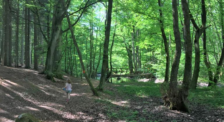 Gaesthus I Naturskoent Laege Genarp Экстерьер фото