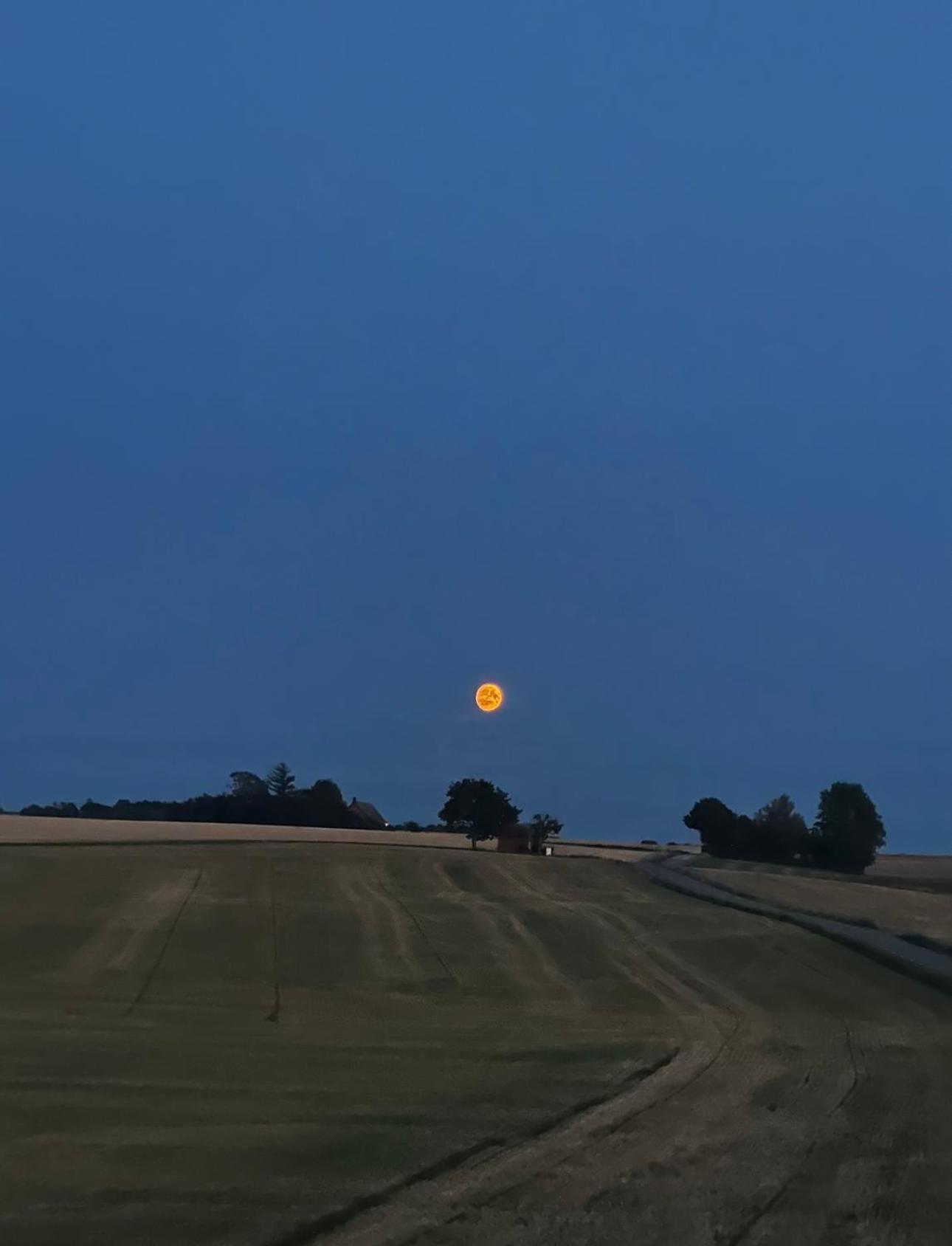Gaesthus I Naturskoent Laege Genarp Экстерьер фото